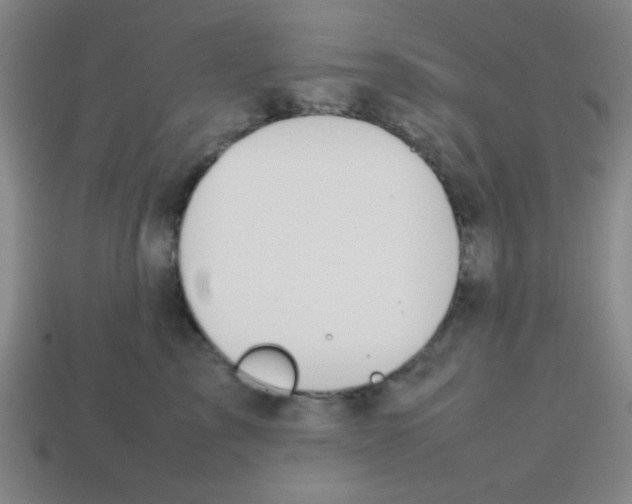 X0000113870713200910221335