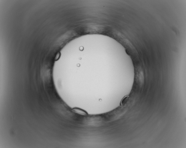 X0000113870716200910221335