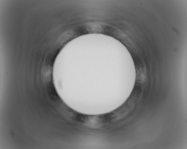 X0000113870717200910221335