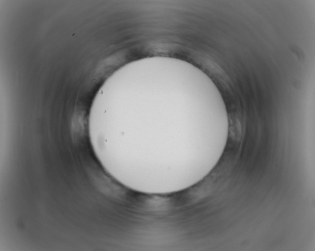 X0000113870718200910221335