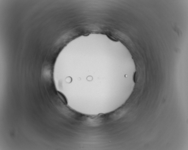 X0000113870720200910221335