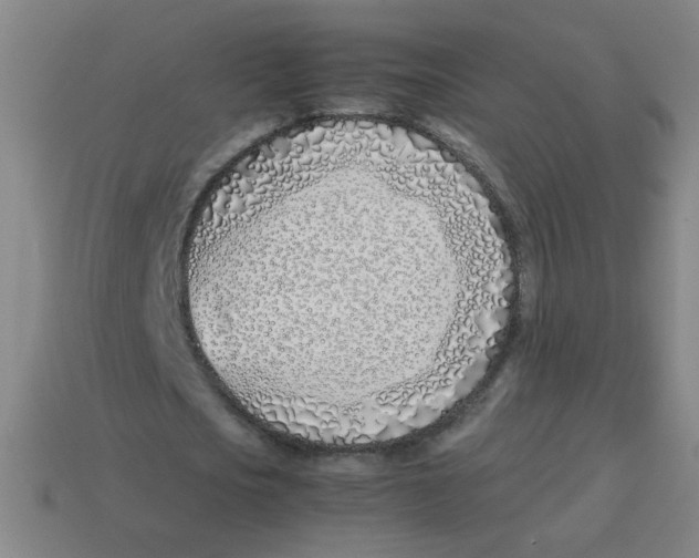 X0000113870721200910221334