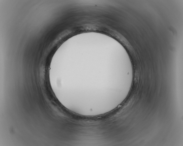 X0000113870722200910221334