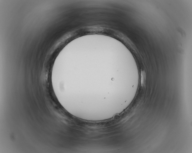 X0000113870723200910221334
