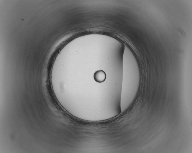 X0000113870724200910221334