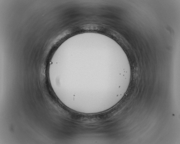 X0000113870727200910221334