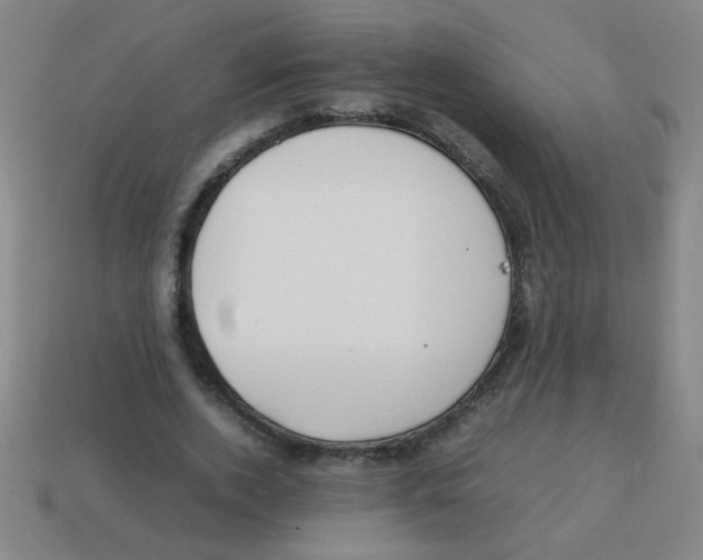 X0000113870728200910221334