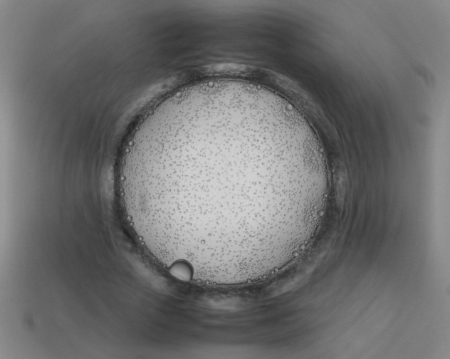 X0000113870729200910221334