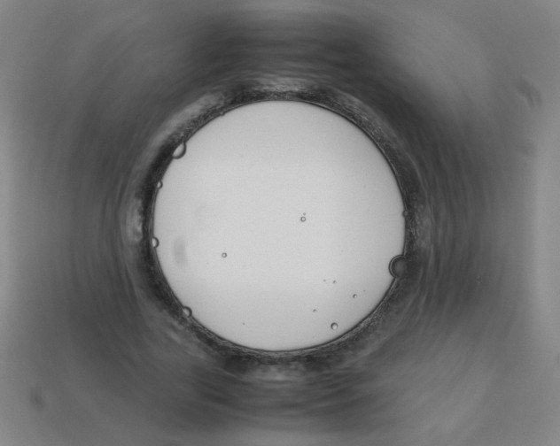 X0000113870731200910221334