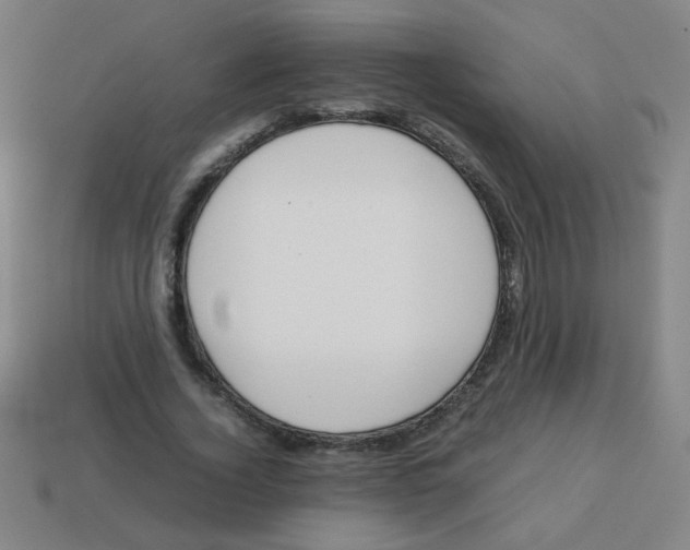 X0000113870732200910221334