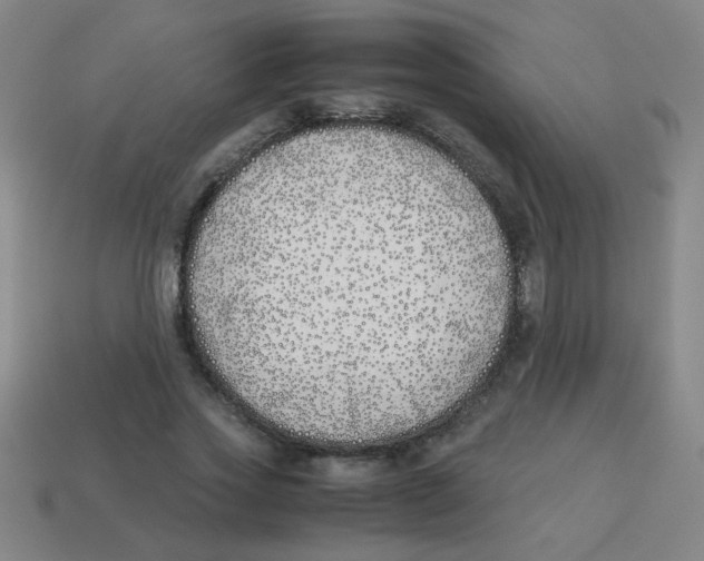 X0000113870733200910221334