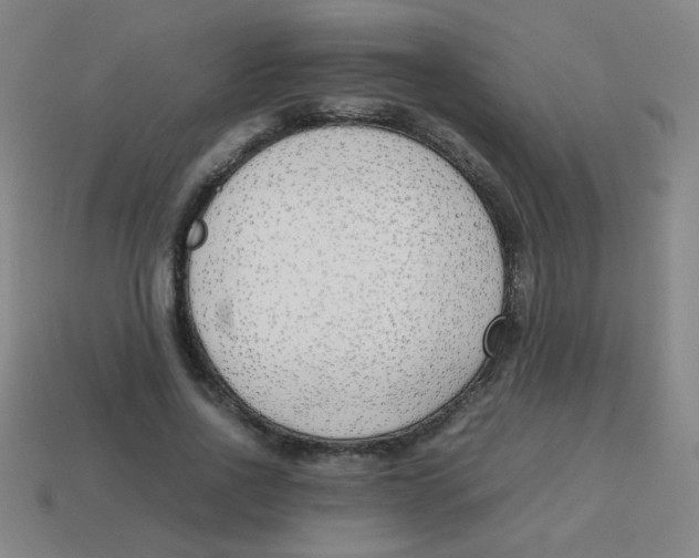 X0000113870734200910221334