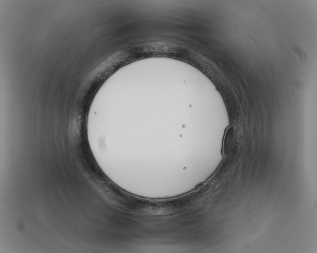 X0000113870735200910221334