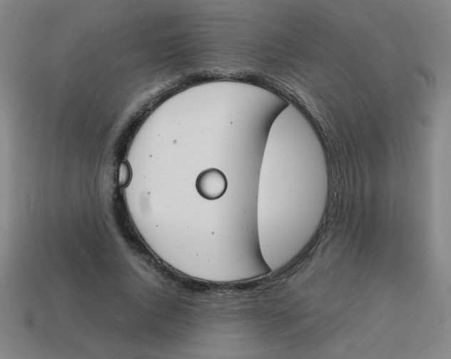 X0000113870736200910221334