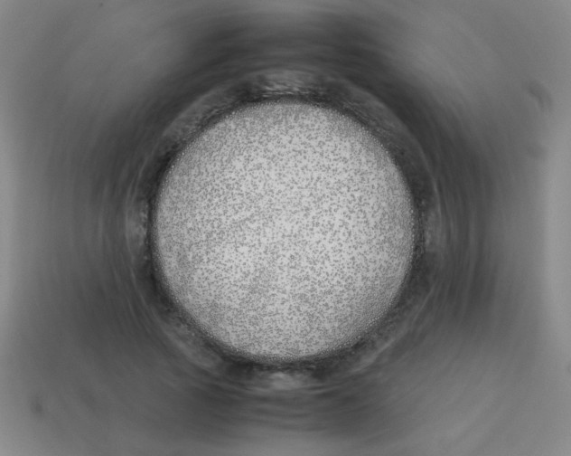 X0000113870737200910221334
