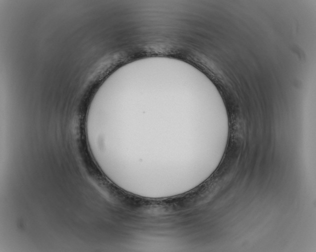 X0000113870738200910221334