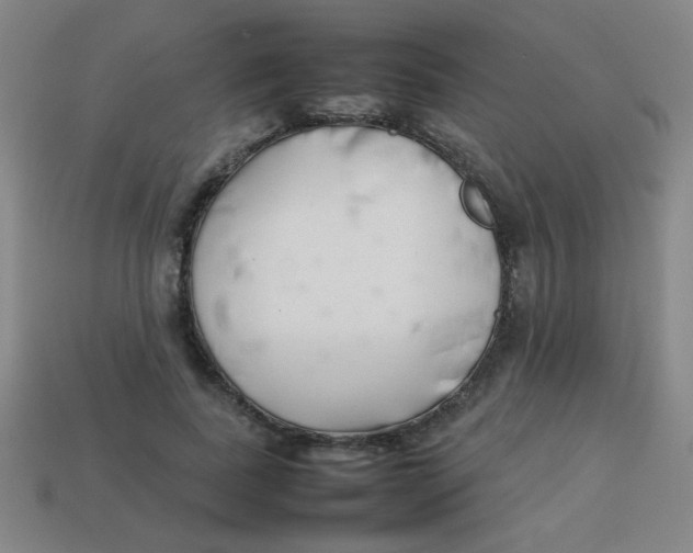 X0000113870739200910221334