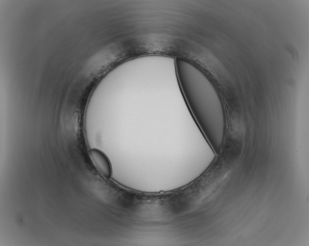 X0000113870740200910221334