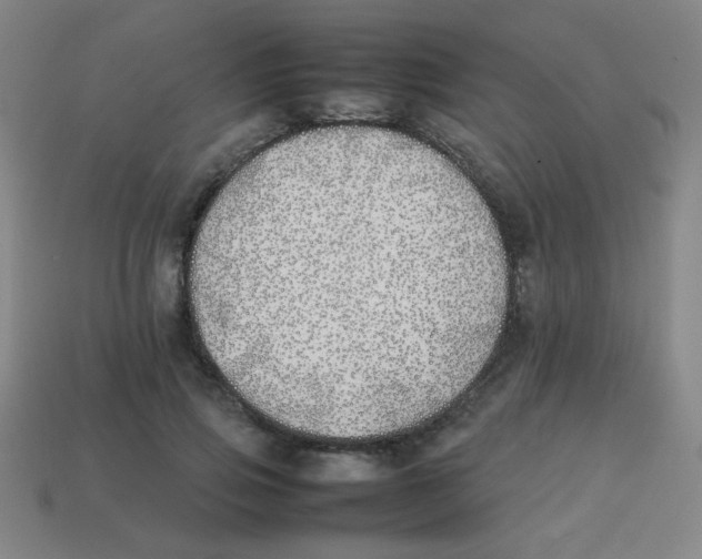 X0000113870741200910221334
