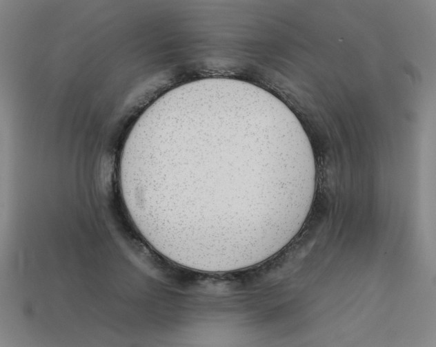X0000113870742200910221334