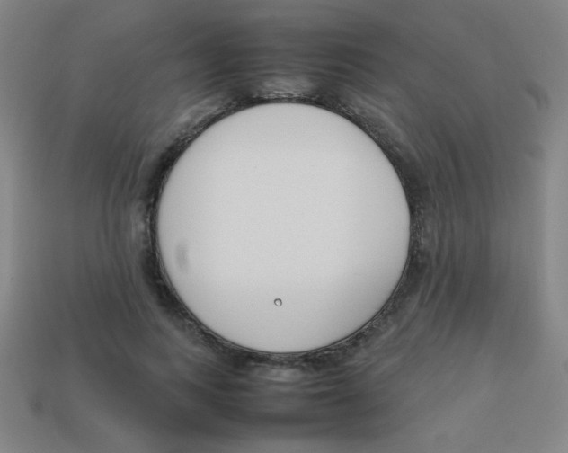 X0000113870743200910221334