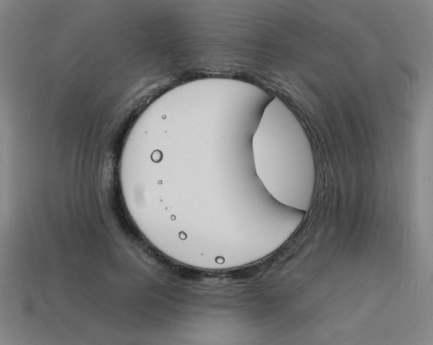 X0000113870744200910221334