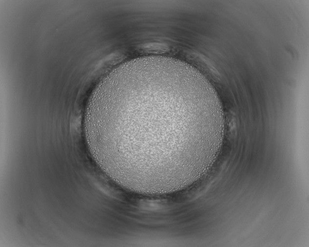 X0000113870745200910221334
