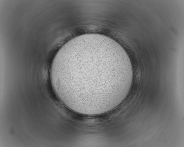 X0000113870746200910221334