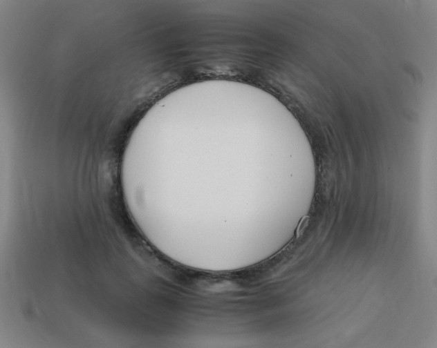 X0000113870747200910221334