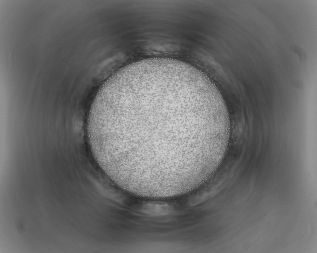 X0000113870749200910221334