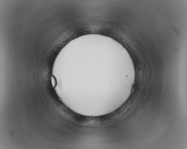 X0000113870750200910221334