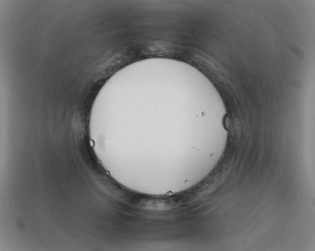 X0000113870751200910221334