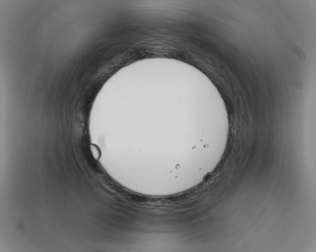 X0000113870752200910221334