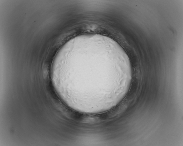 X0000113870754200910221334