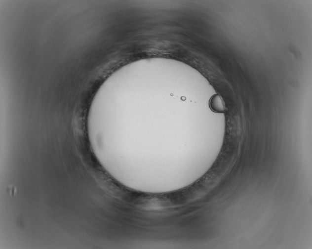 X0000113870755200910221334