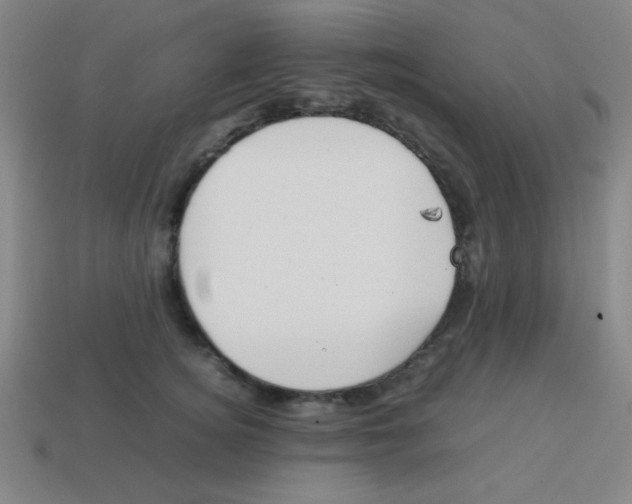 X0000113870756200910221334
