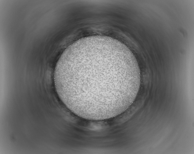 X0000113870757200910221334