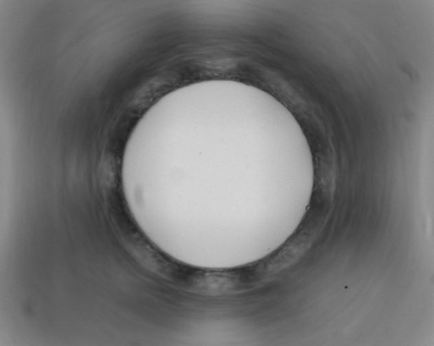 X0000113870758200910221334