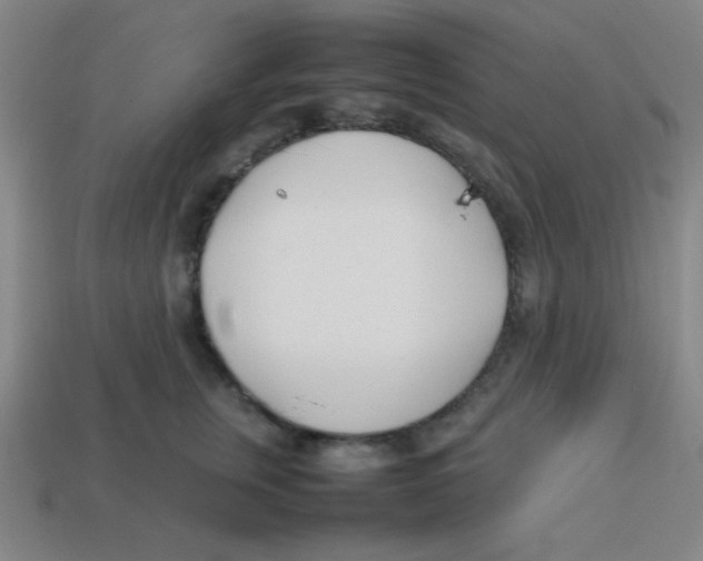 X0000113870759200910221334