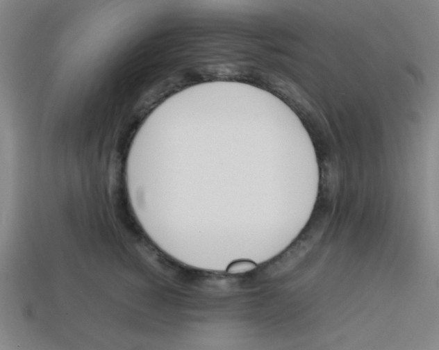 X0000113870760200910221334