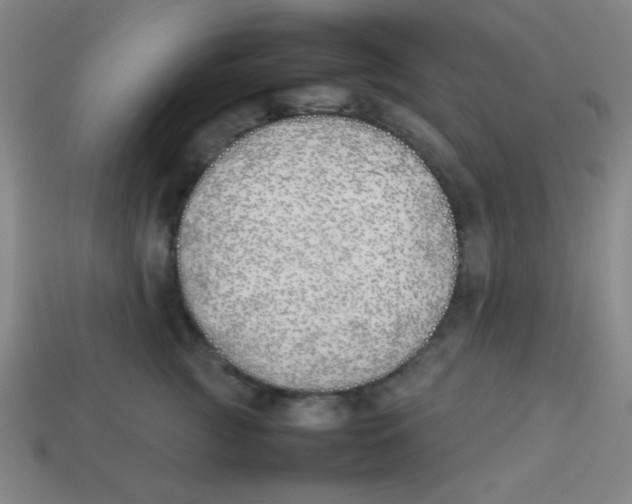 X0000113870761200910221334