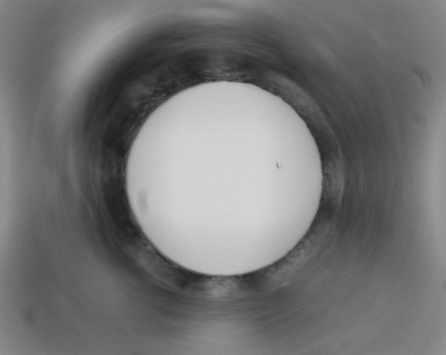 X0000113870762200910221334