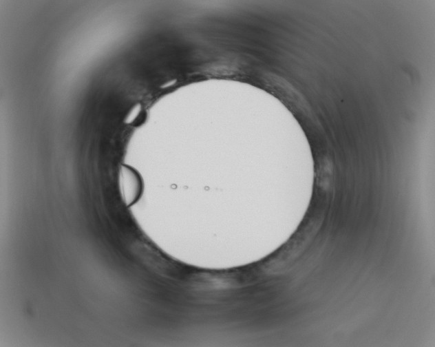 X0000113870763200910221334