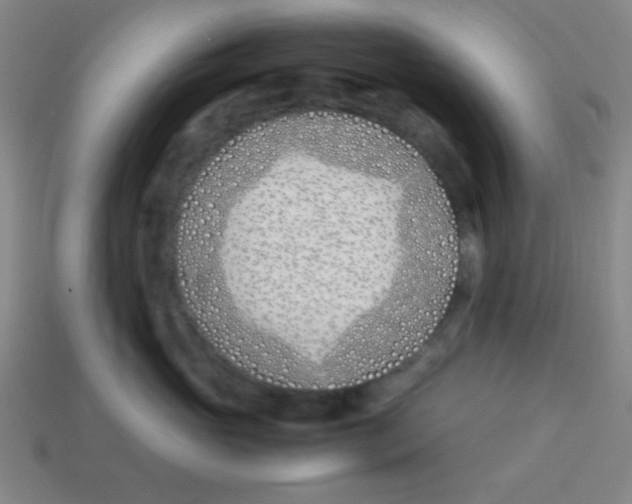 X0000113870765200910221334