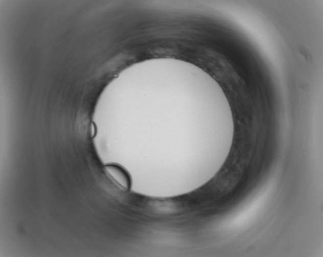X0000113870767200910221335