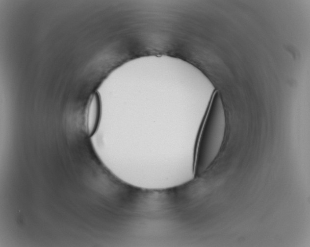 X0000113870768200910221335
