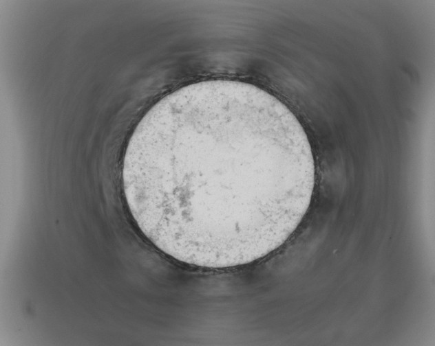 X0000113870769200910221334
