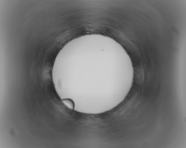 X0000113870770200910221334
