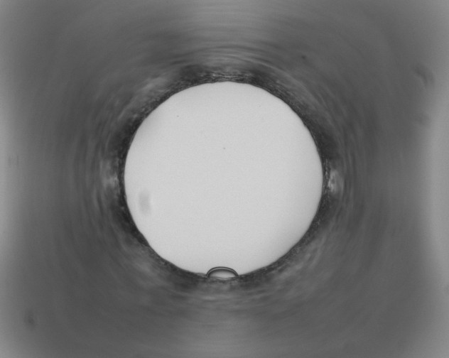X0000113870771200910221334