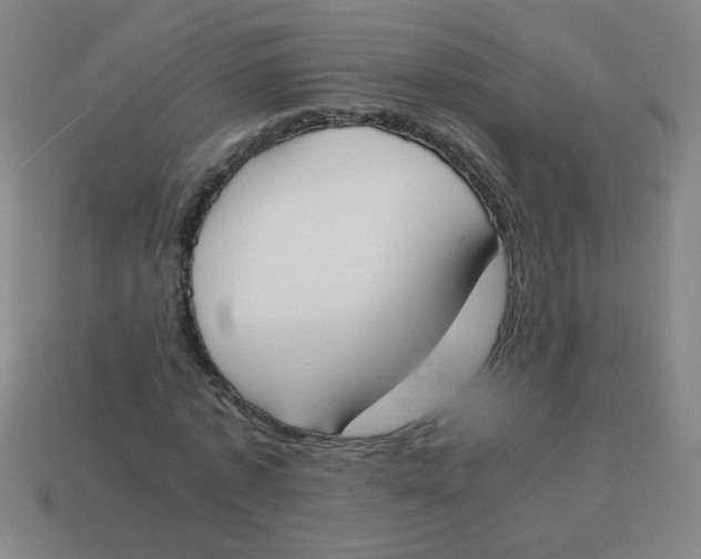 X0000113870773200910221334